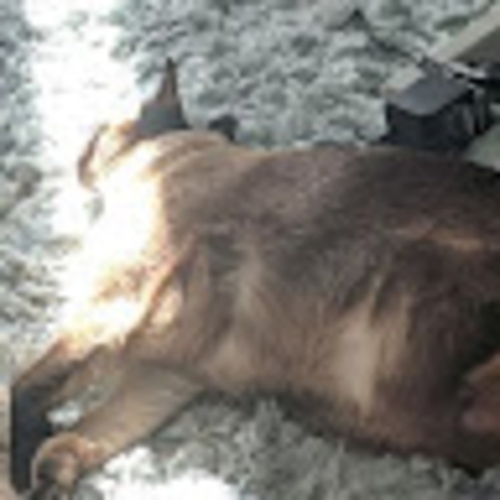 Meet your Posher, Nicole gaby